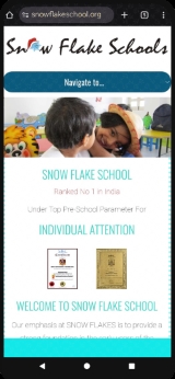 Snow Flake School