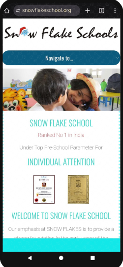 Snow Flake School